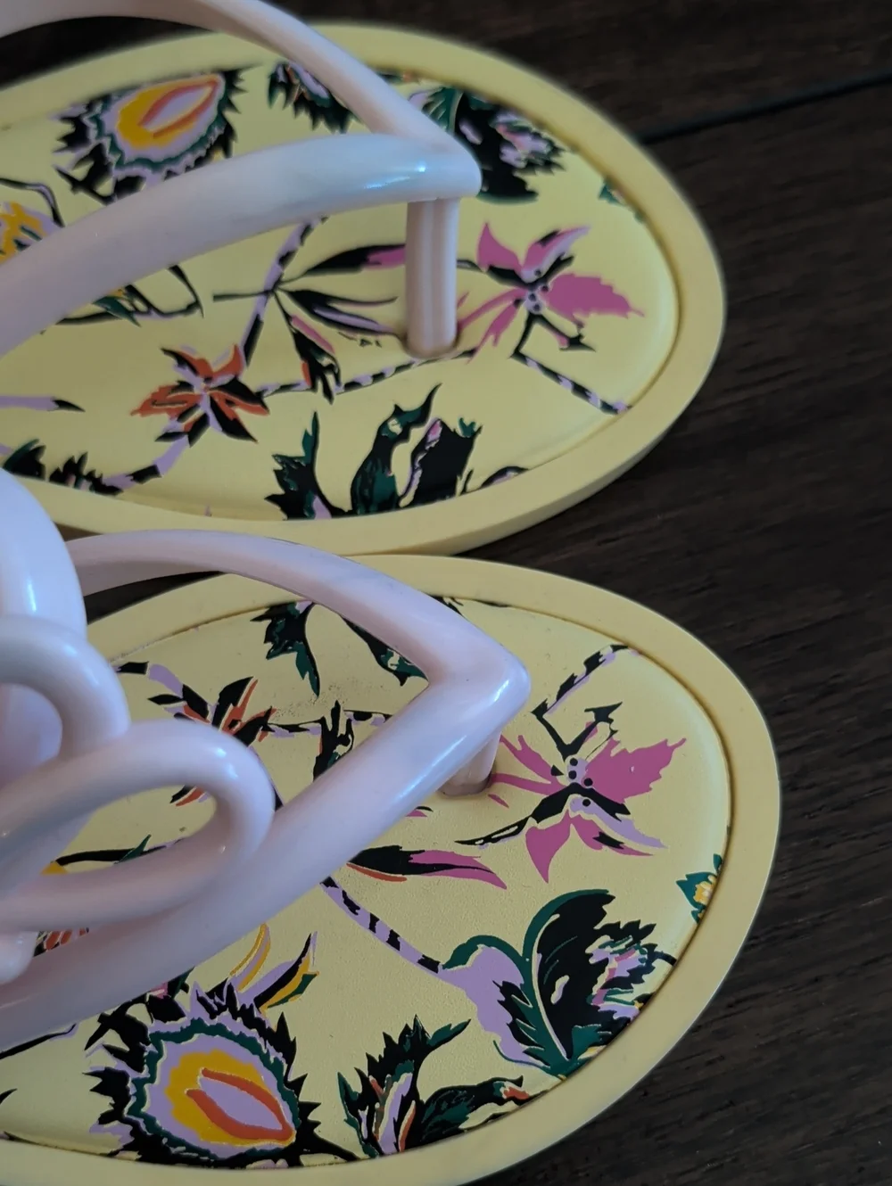 Melissa / Jason Wu Flip Flop Sandals